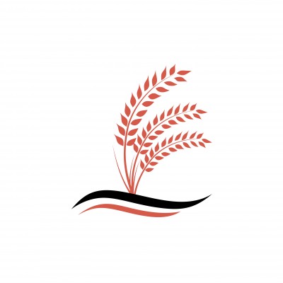 Teresa Lett Realtor