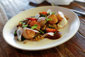 true-food-kitchen-seared-scallops