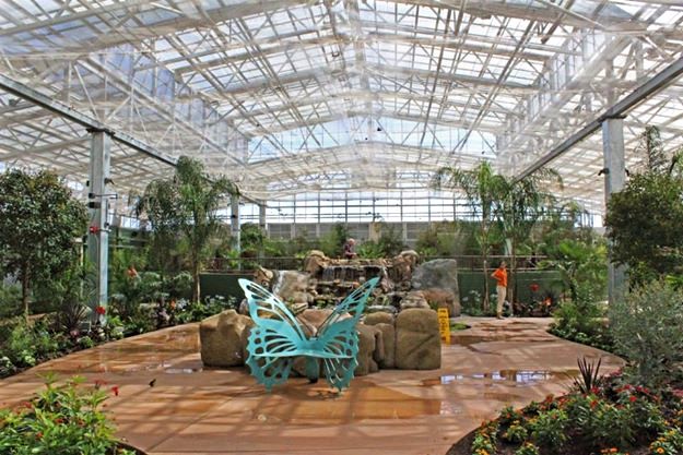 butterfly-wonderland-atrium
