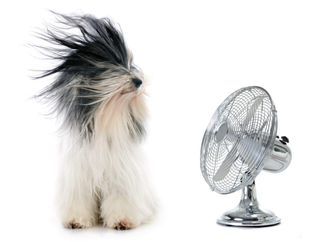 central a/c maintenance reminder