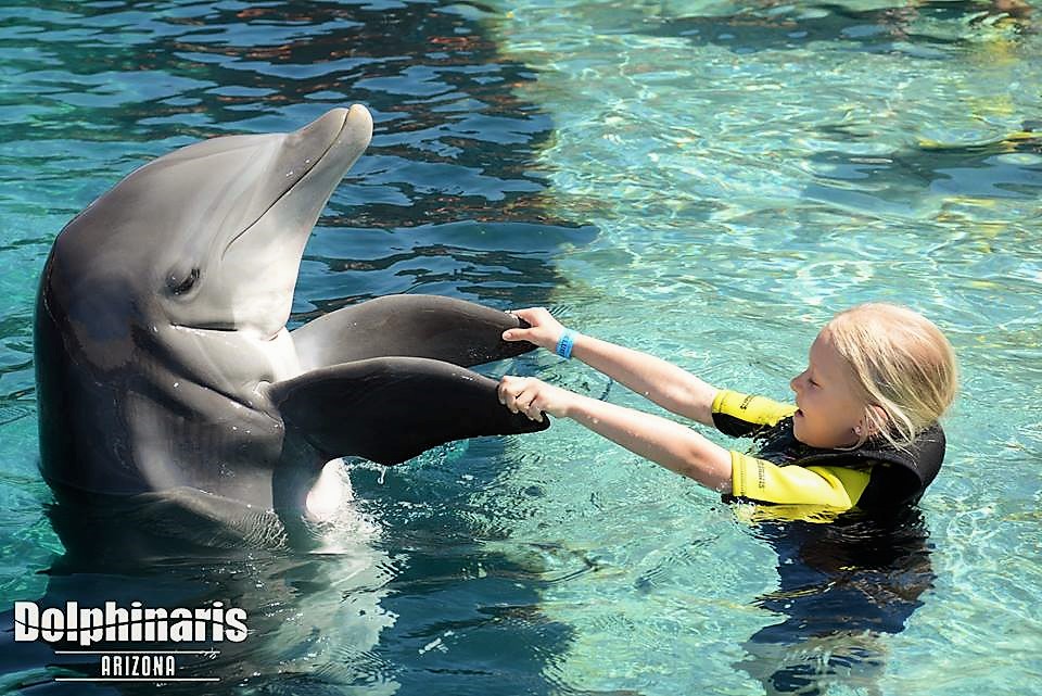dolphinaris-12