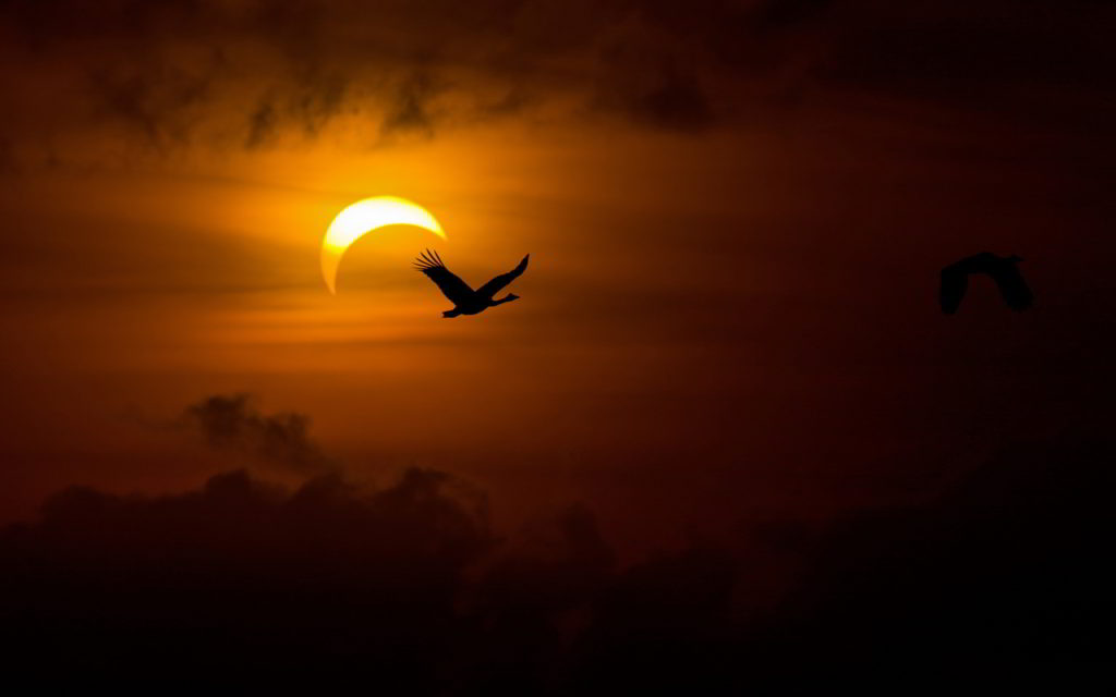 zz-eclipse-4