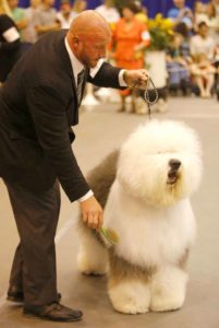 world-series-of-dog-shows-1024x1024