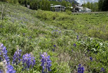 Build your dream home/ stunning mountain views