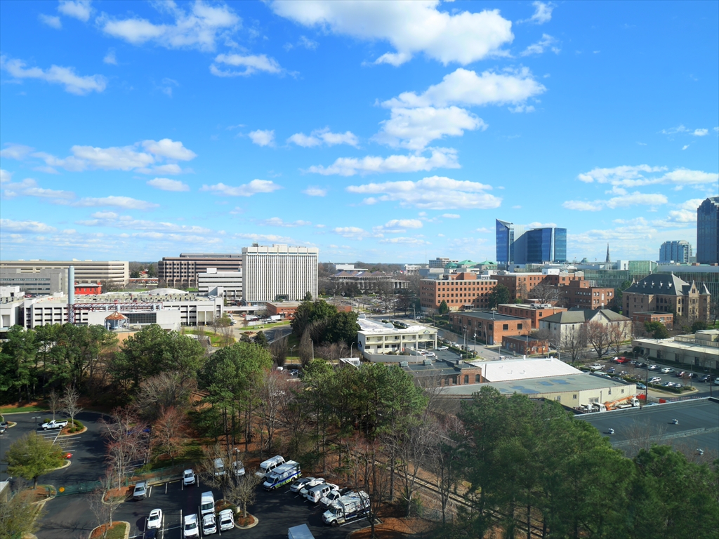 400-w-north-st-raleigh-nc-27616-view-from-1228