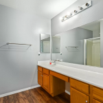 1749 S 230th Lane Buckeye AZ 85326 - Primary Bathroom 1