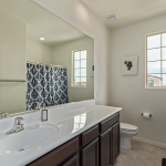 19730 W Verde Lane Buckeye AZ 85396 - Guest Bathroom