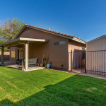 3126 W Zachary Drive Phoenix AZ 85027 - Backyard 4