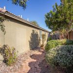 15137 W Buchanan Street Goodyear AZ 85338 - Backyard 6