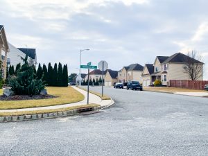 Neighborhood view of types of homes in the Forest Walk Estates