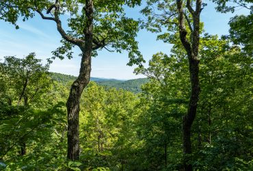 Lot For Sale: Lot 25 Panther Mountain Road #CVN-CVN-025, Zirconia, North Carolina 28790