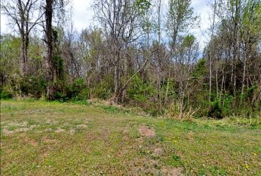 Lot For Sale: 235 Nance Road, Charlotte, North Carolina 28214