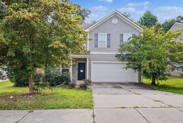 For Sale: 460 Dutch White Drive, Clover, South Carolina 29710