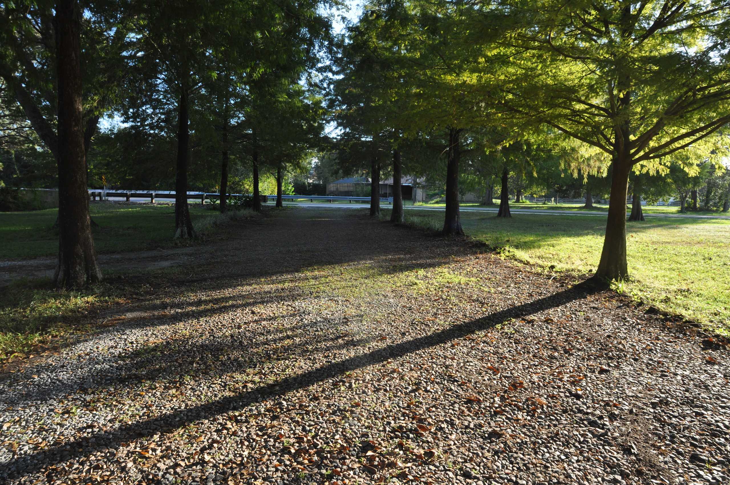 2629 Twin Branch Acres, Tampa, FL 33626 Odette Godin