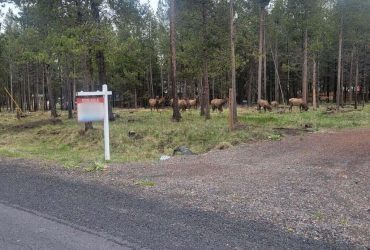 Build-Ready Lot with Utilities & House Plans Near Deschutes River