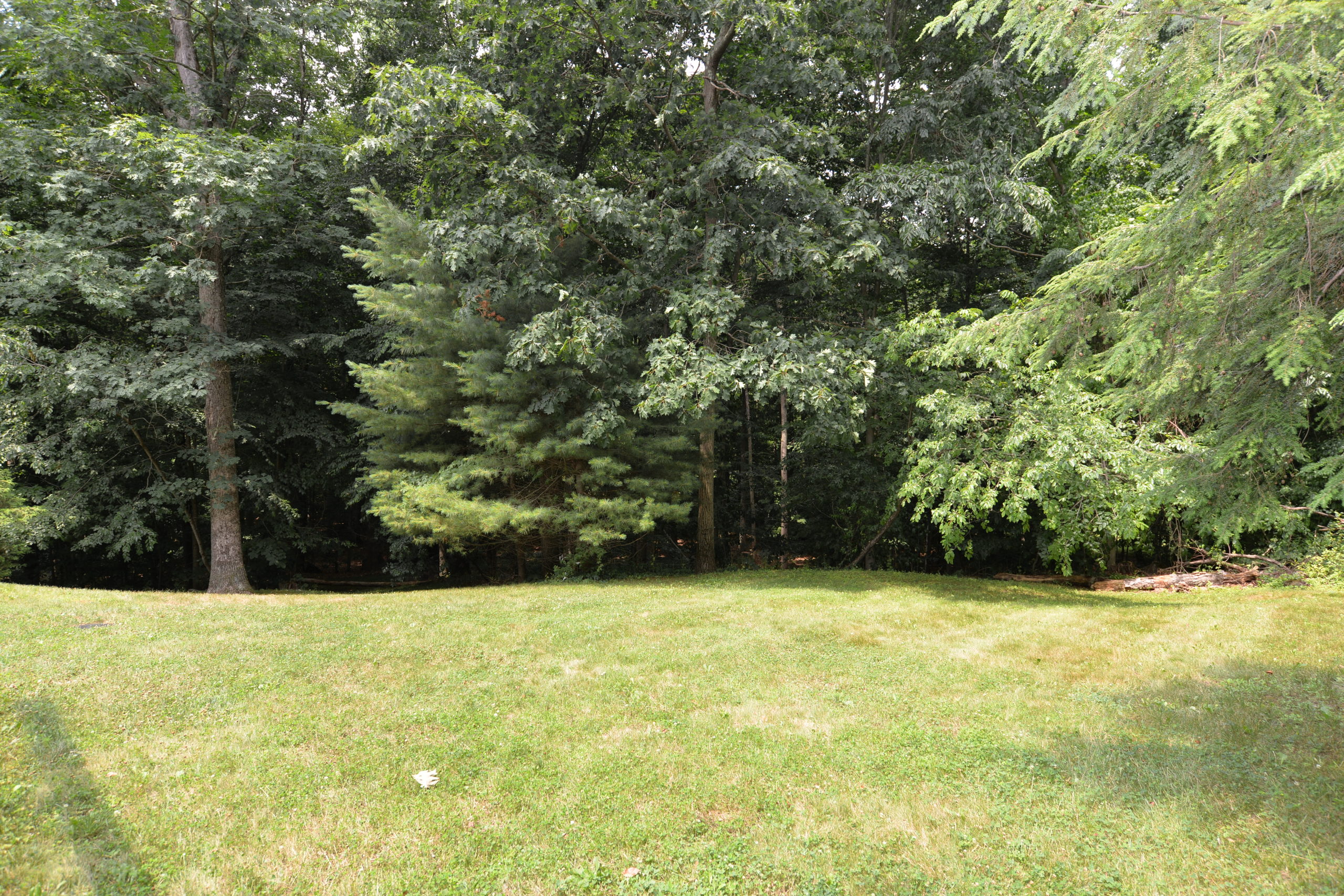 31 Powder Horn Hill Road Wilton, CT 06897 Mary Ellen Williams