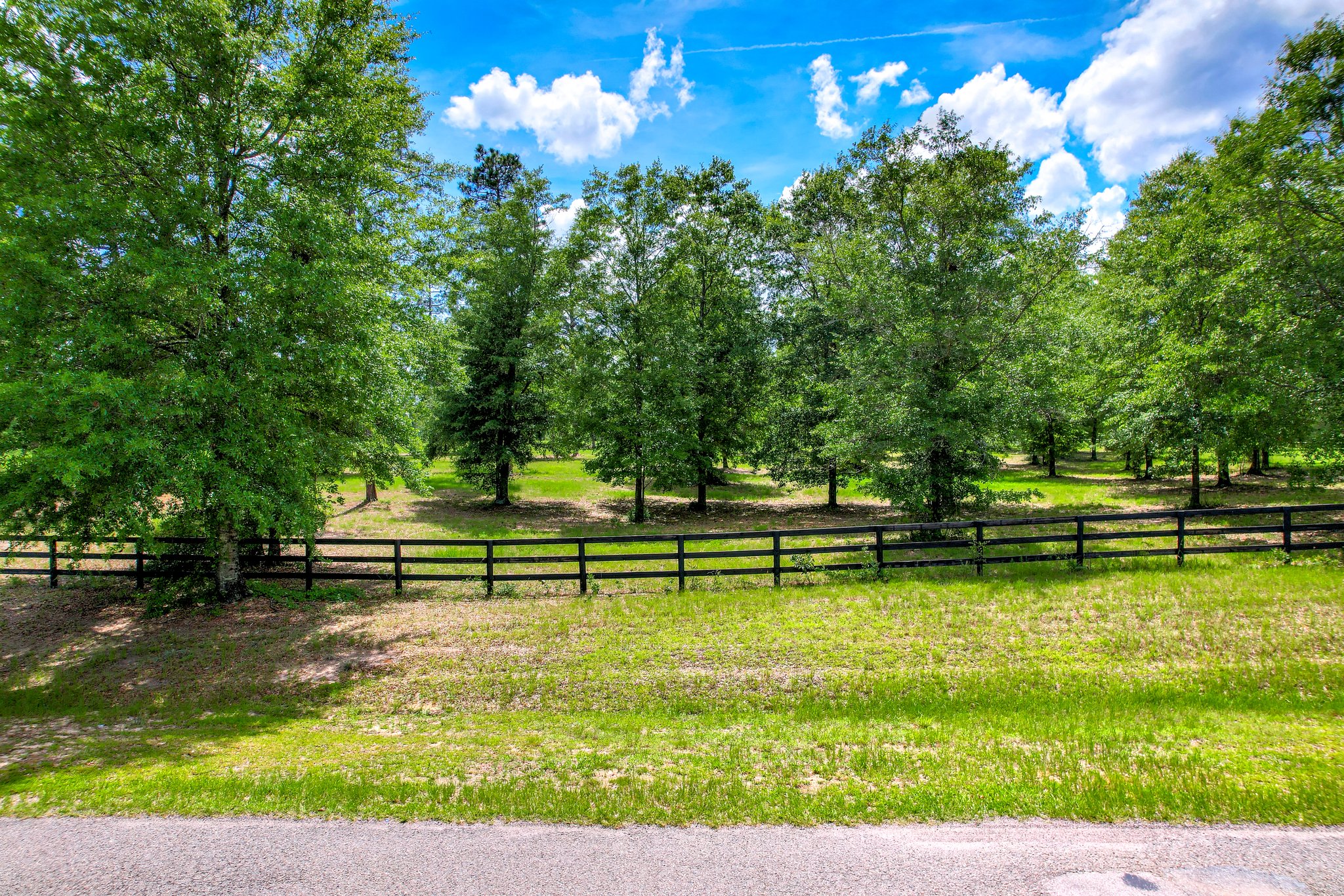 Lot 1 Paddocks