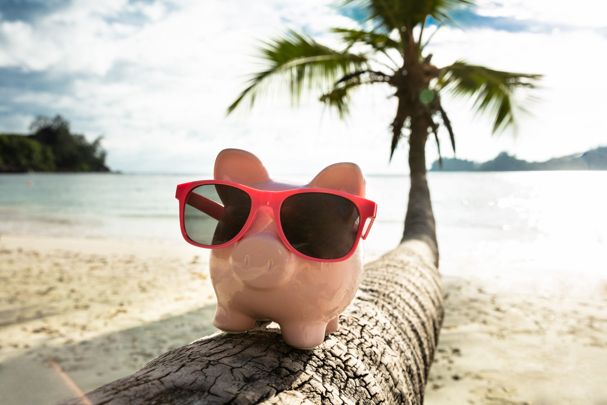 Close-up,Of,Pink,Piggybank,With,Sunglasses,On,Tree,Trunk,At