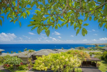 100 Ridge Road #1512, Lahaina, Maui, HI