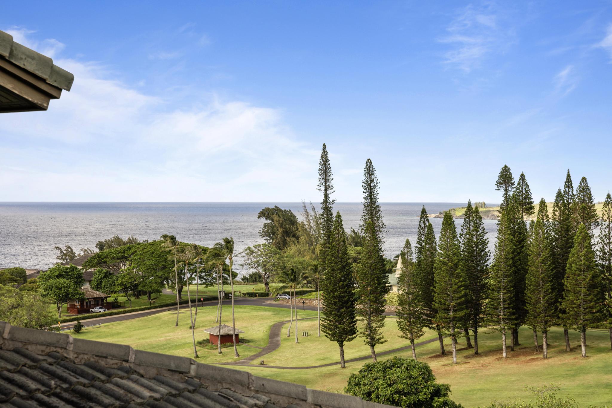 100 Ridge Road #723, Lahaina, Maui, HI 96761 - Ridge Realty Rentals LLC