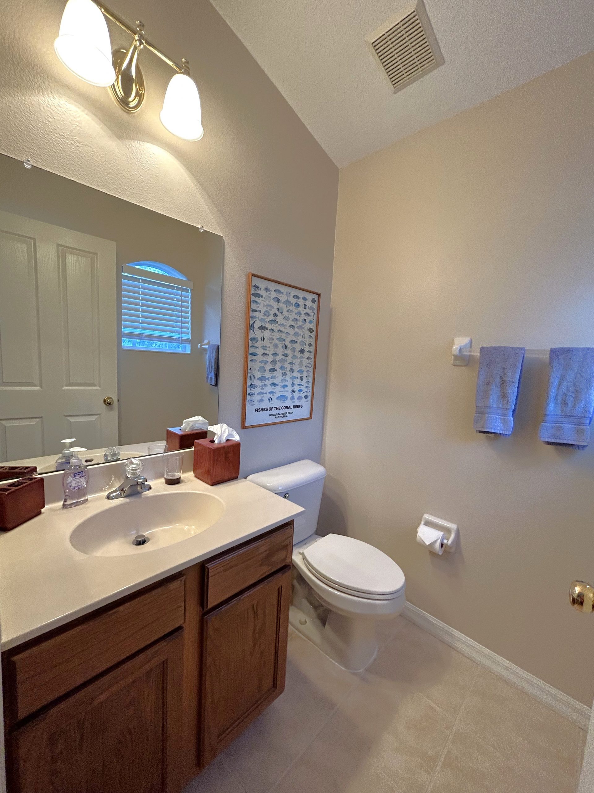 SOLD! FISHHAWK'S IBIS PARK POOL HOME FishHawk Realtor Tampa Bay