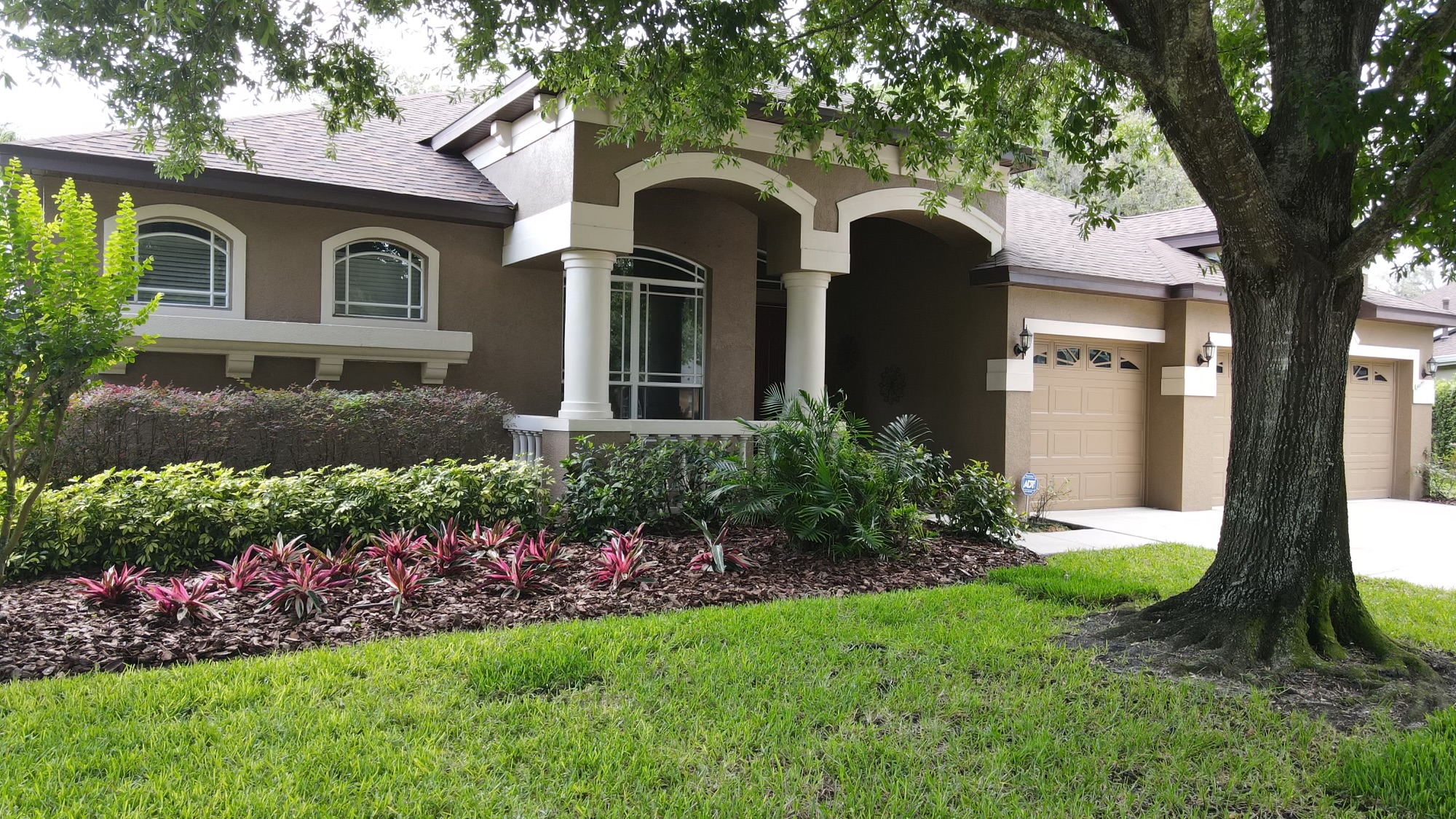 SOLD! FISHHAWK'S IBIS PARK POOL HOME FishHawk Realtor Tampa Bay