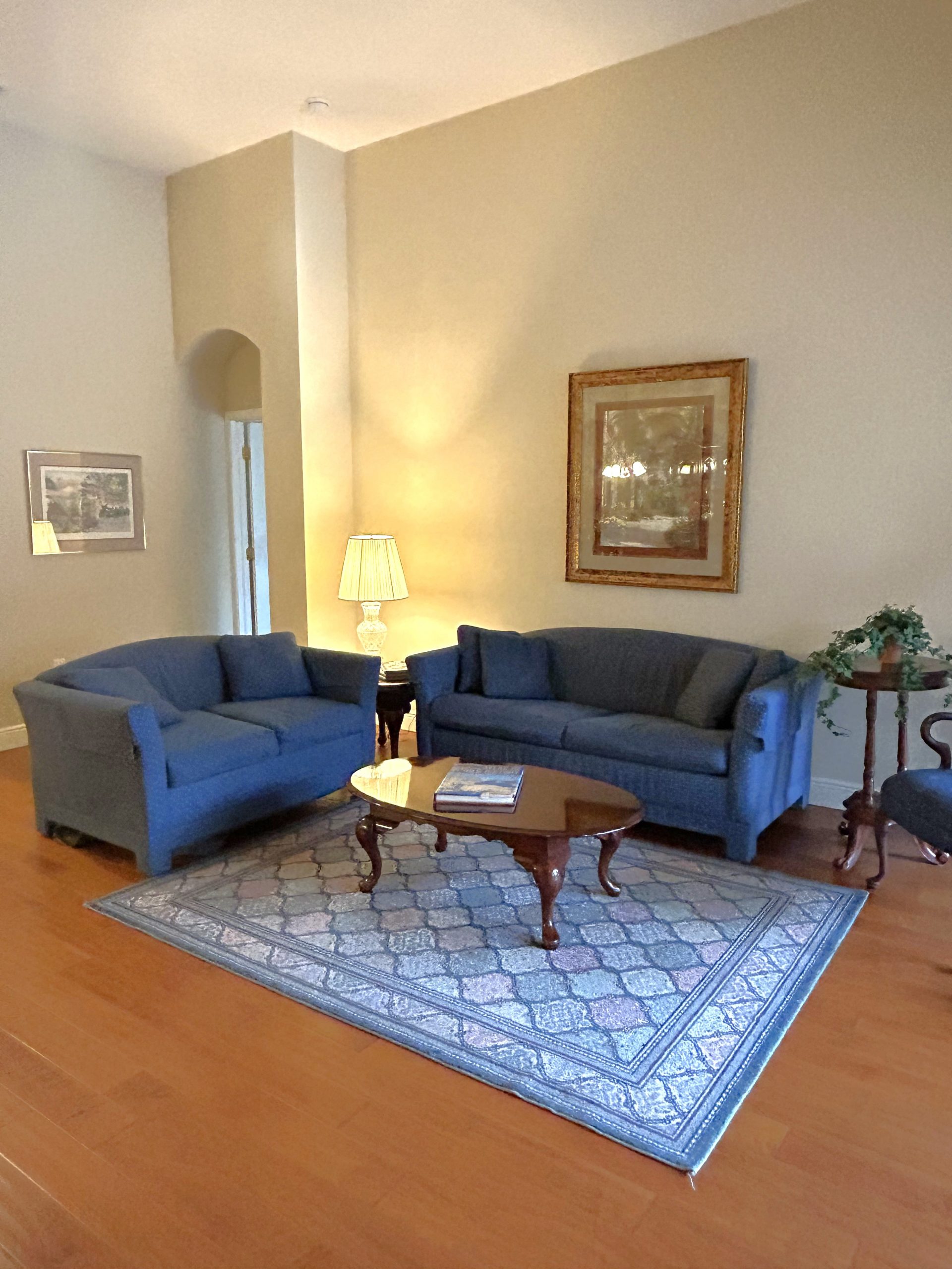 SOLD! FISHHAWK'S IBIS PARK POOL HOME FishHawk Realtor Tampa Bay