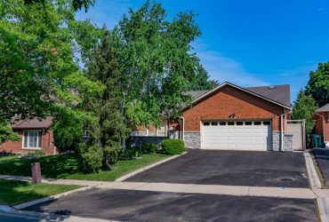 49 Carnforth Dr, Brampton, ON L6Z 1T9 (SOLD)