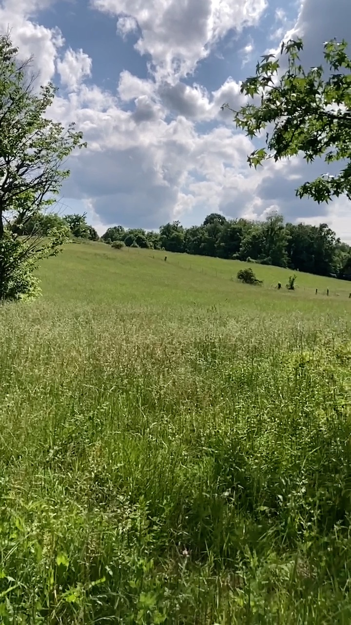 6.39 acres Horse Creek Park Rd