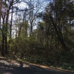 Country living in the City