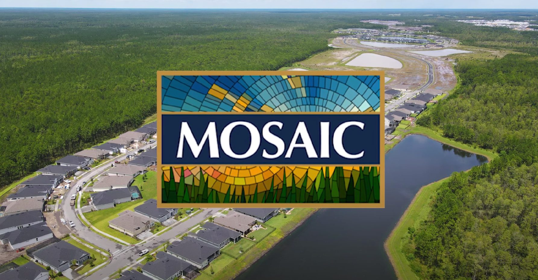 mosaic drone