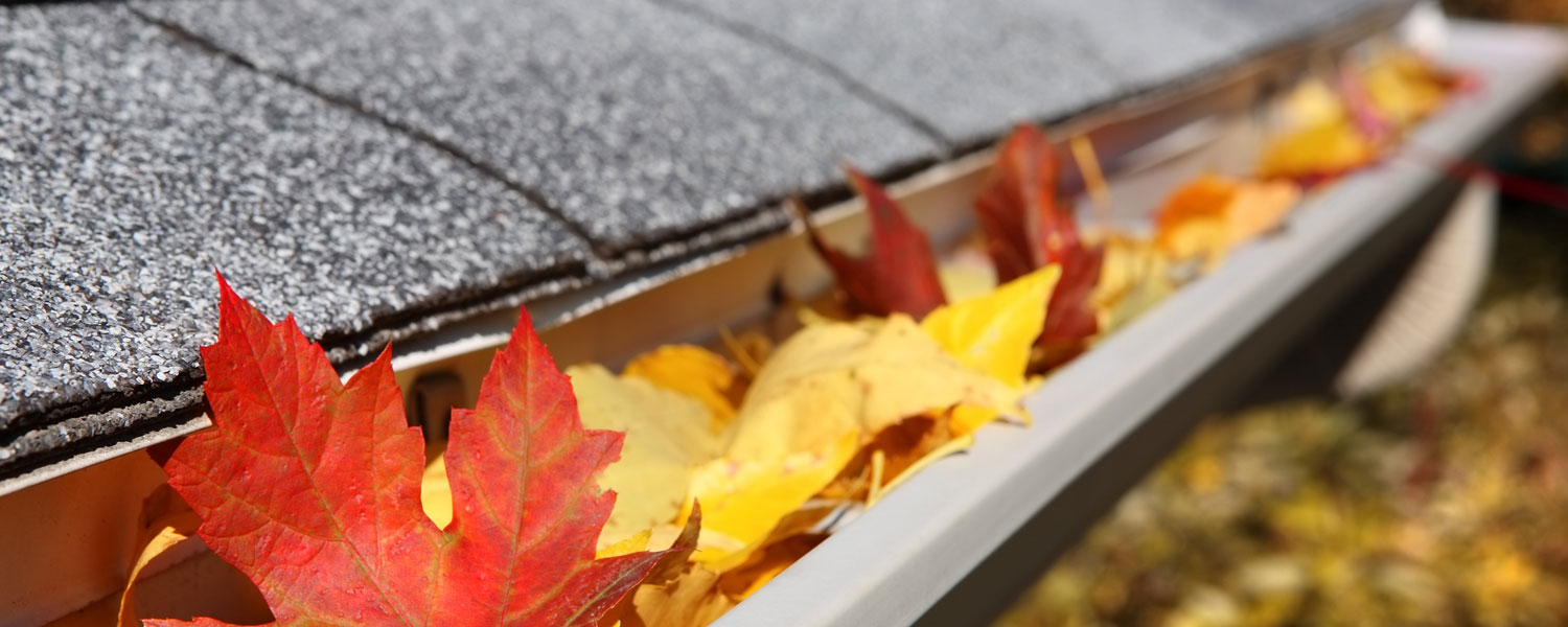 gutter-leaves-homekeepr-app