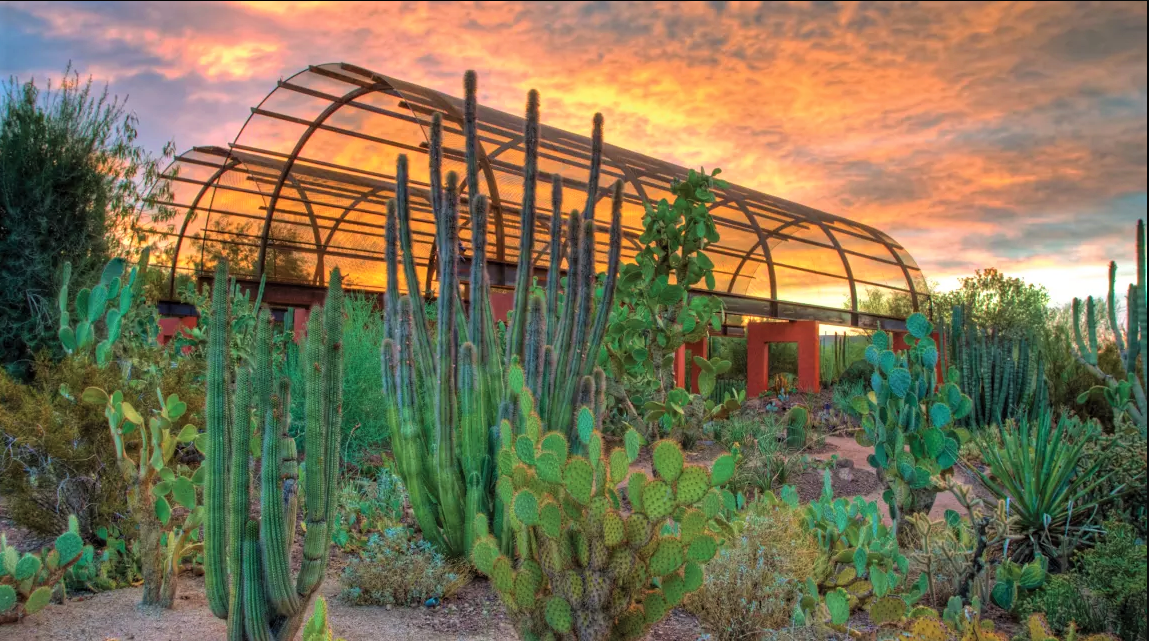 desert-botanical-garden-2