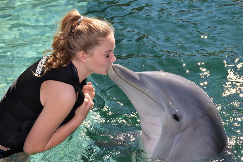 dolphinaris-10