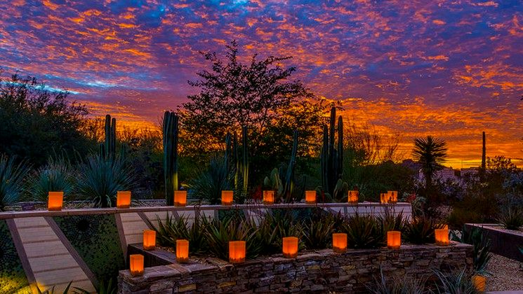 desert botanical garden phoenix 17