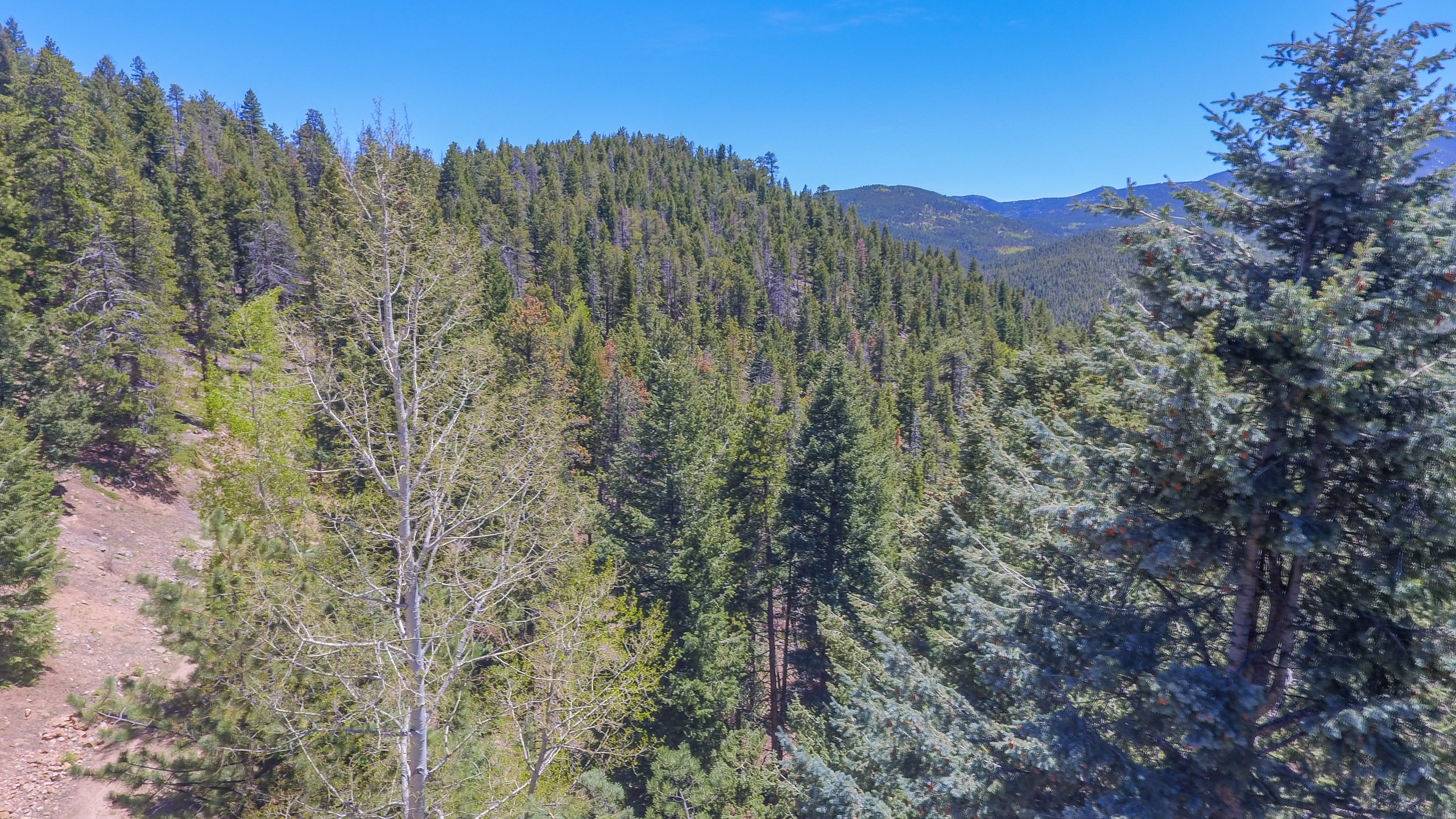 Evergreen Land for Sale, mountain top home sites, community water