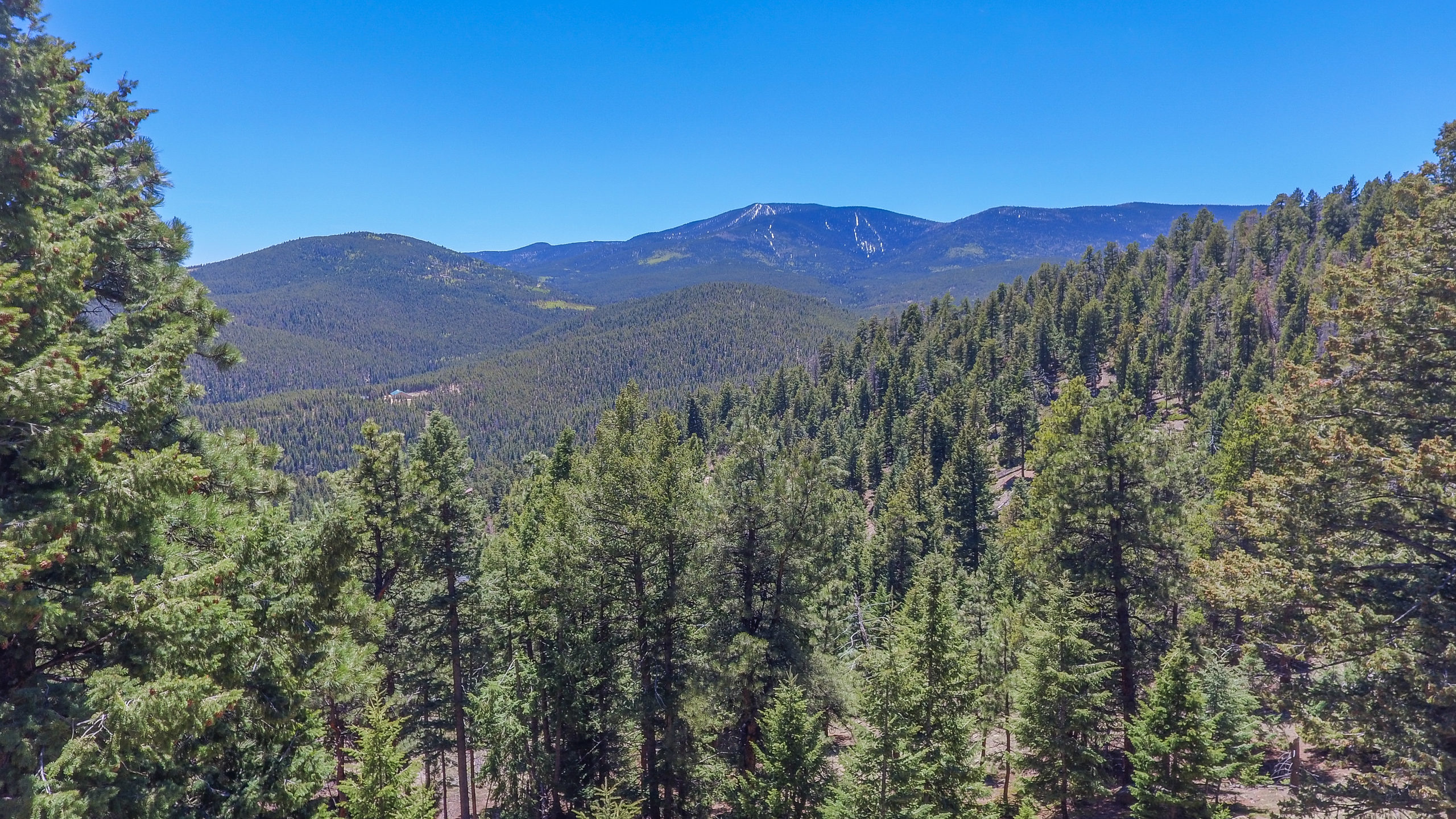 Evergreen Land for Sale, mountain top home sites, community water