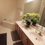 412 Zelkova Rd Wmbg 23185