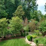 6420 Midday Ln backyard