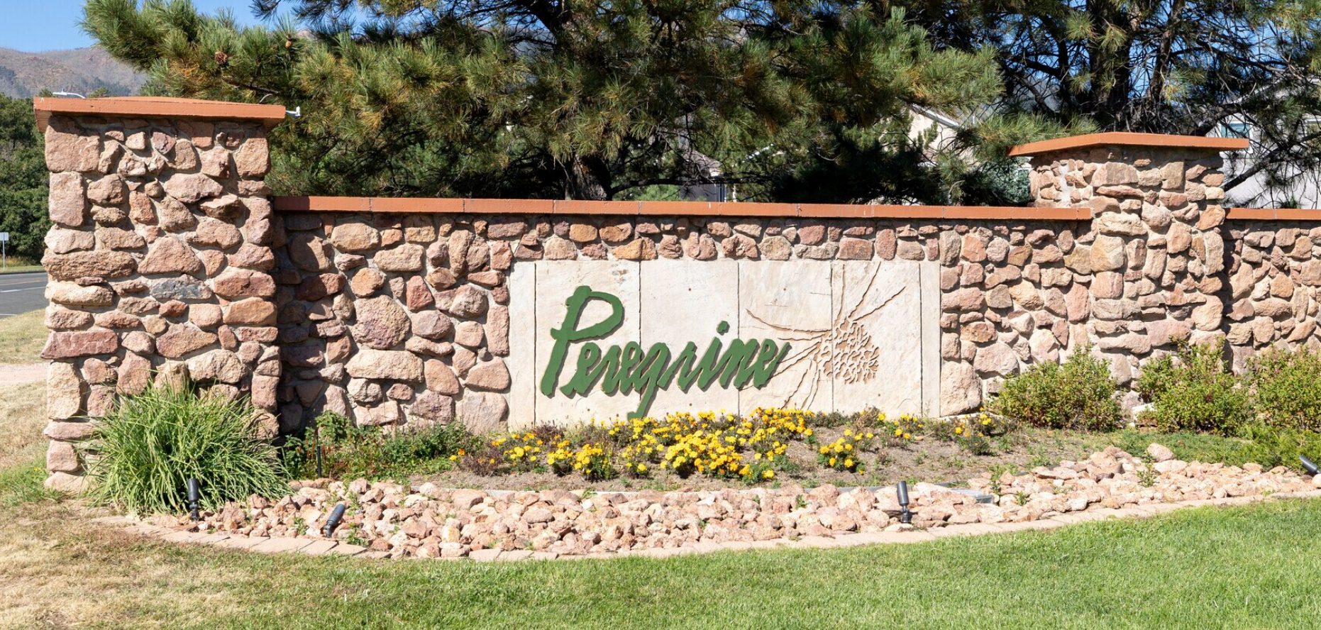 Peregrine sign