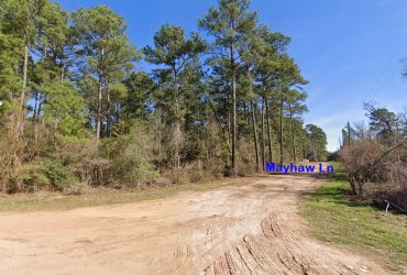 0.26 Acre Residential Lot in Pinebrook – No Restrictions!