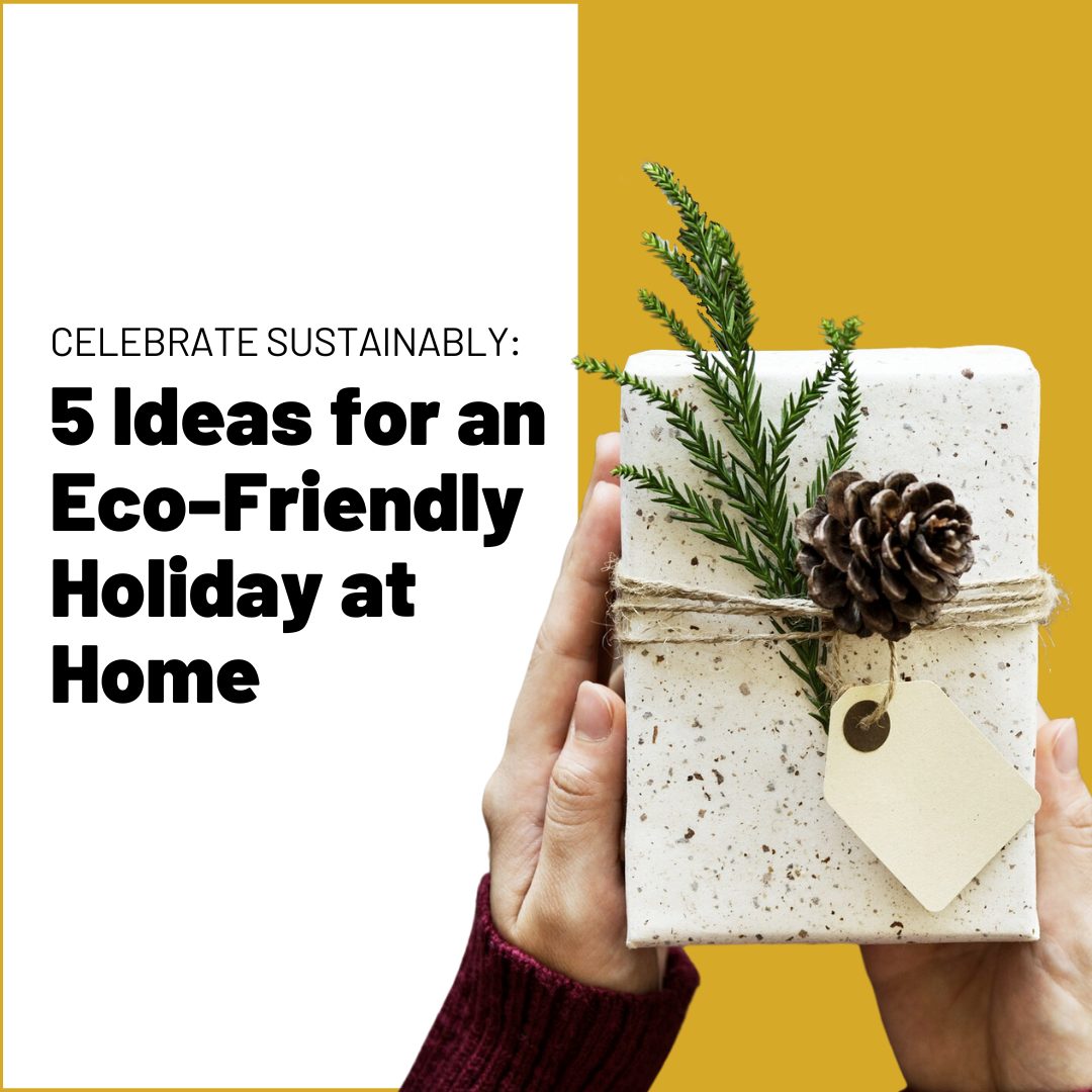 Celebrate Sustainably: 5 Ideas for an Eco-Friendly Holiday at Home