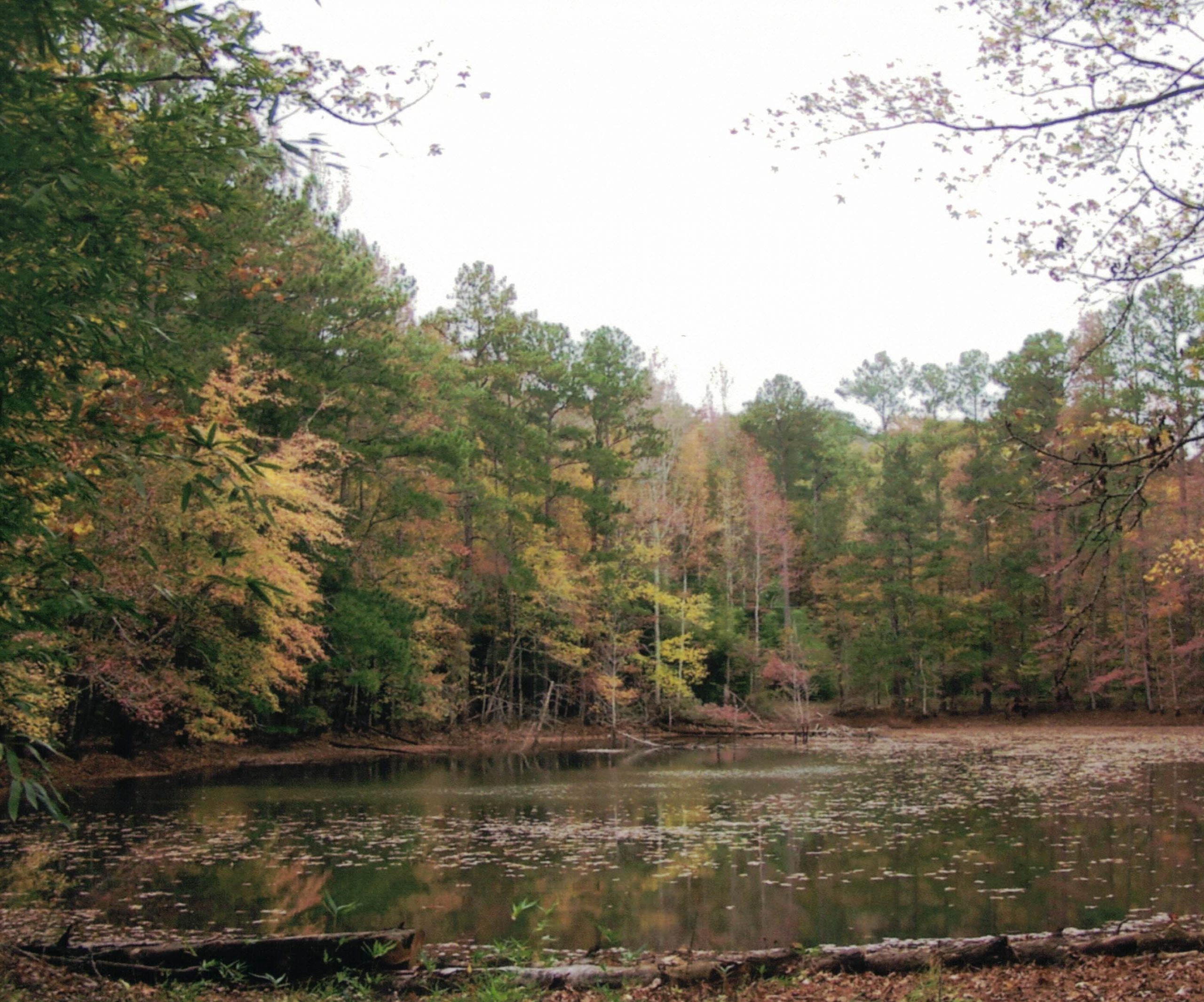 Gerald Roberts Property_20240109(5)