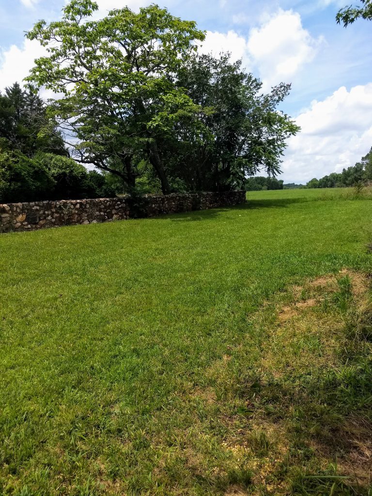 IMG_20190712_134945357