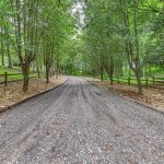 Tree-Lined Driveway