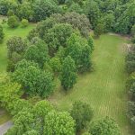 Pasture for Horses w/ Spring