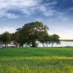 Granbury, TX, lot for sale, waterfront property, lakefront property