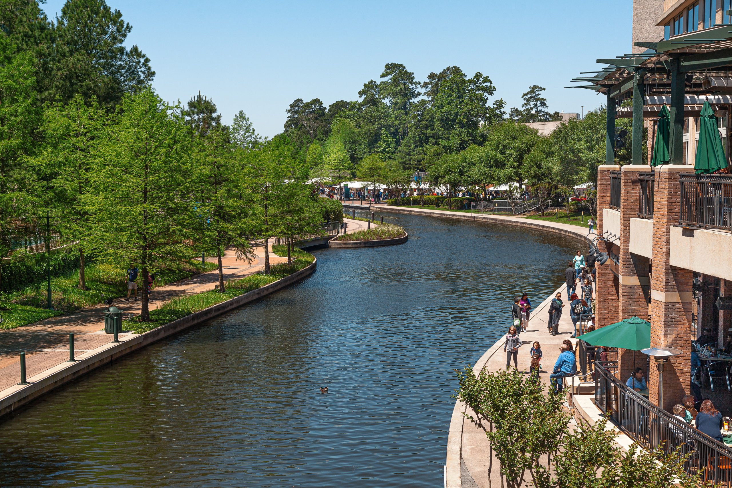 The Woodlands