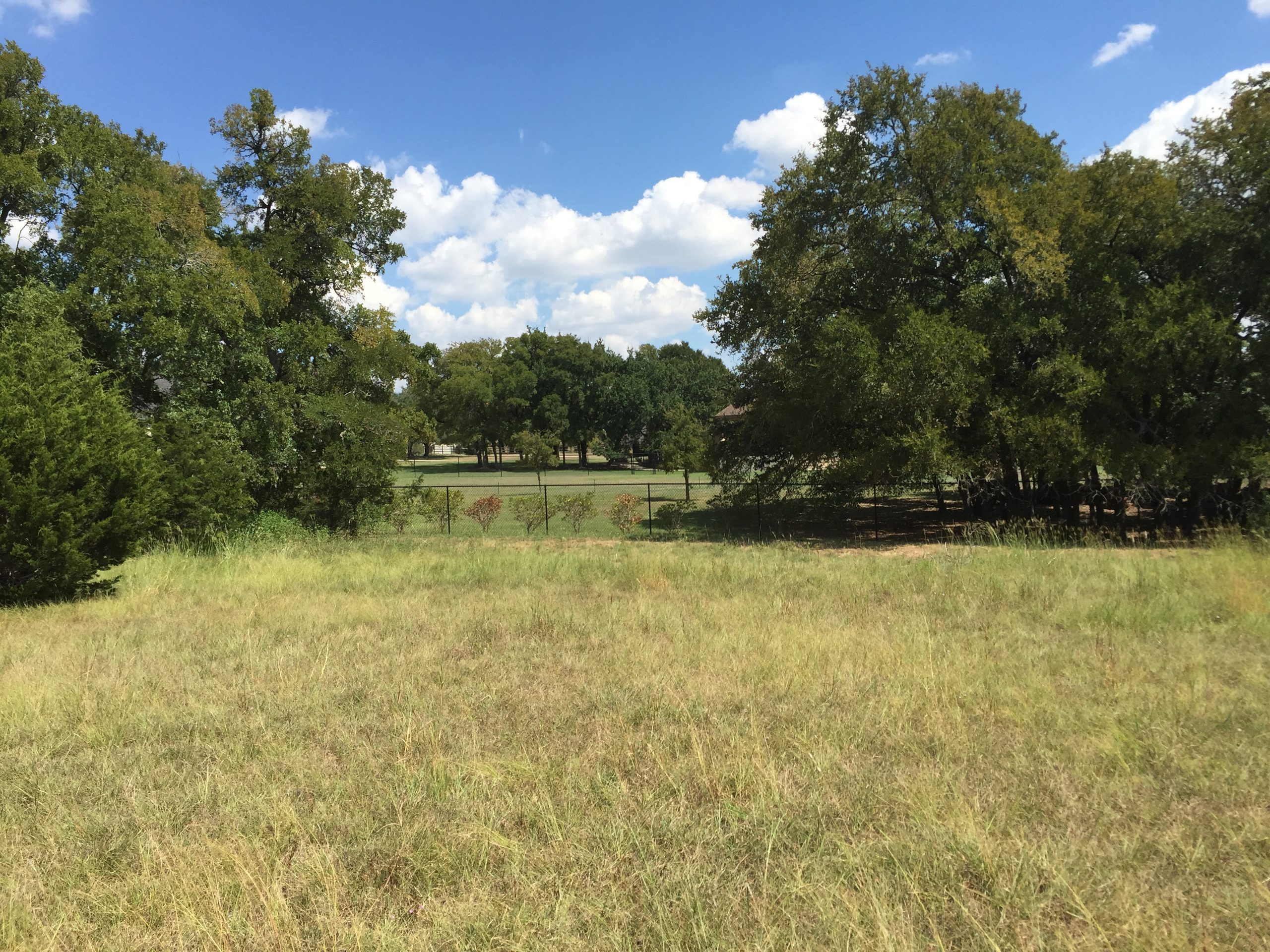 301 Ridge View Drive, Georgetown, TX 78628