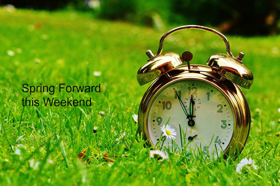 Spring Forward & Get Your Home Ready for the Spring Selling Market